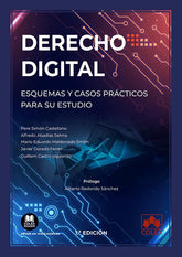 DERECHO DIGITAL ESQUEMAS Y CASOS PRACTICOS PARA SU ESTUDIO - 9788413594750